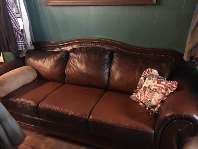 Vintage Leather Sleeper Sofa